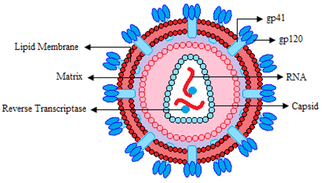 Infeksi HIV