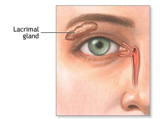 Keratokonjungtivitis Sikka