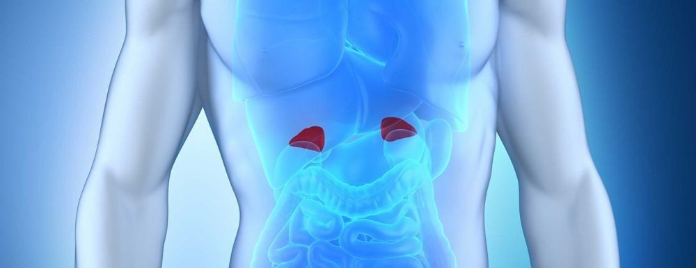 Hiperplasia Adrenal Kongenital