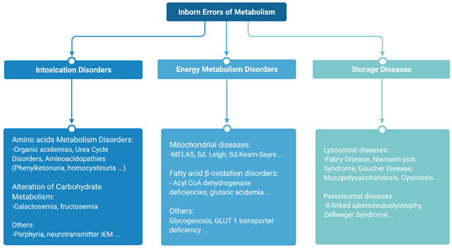 Kelainan Metabolisme