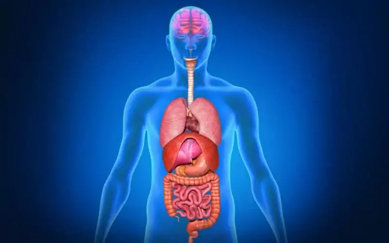 Asidosis Metabolik