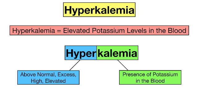 Hiperkalemia (Kadar Kalium Darah yang Tinggi)