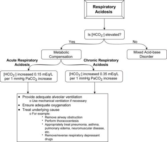 Asidosis Respiratorik