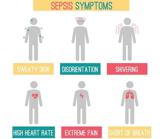 Sepsis dan Syok Septik