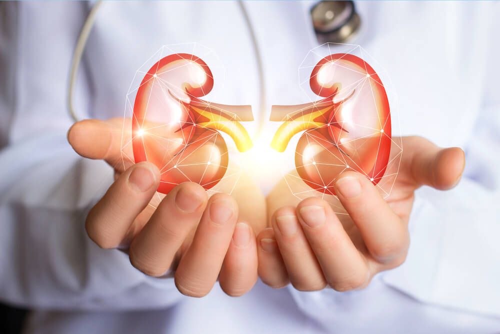 Nefritis Tubulointerstisialis Akut