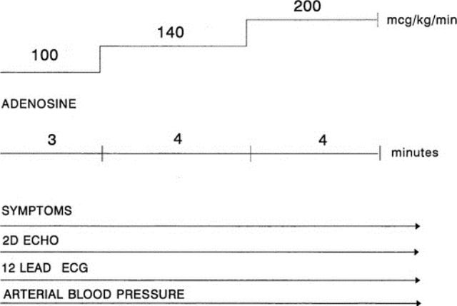 Adenosine Stress Test