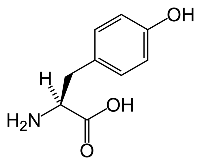 Tirosinemia