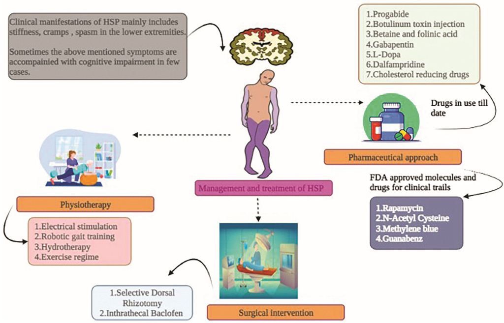 Hereditary Spastic Paraparesis (HSP)