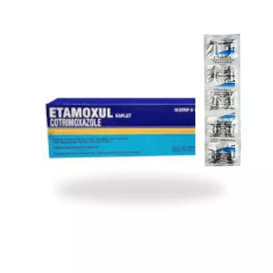 Etamoxul 400 mg Kaplet