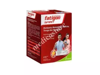 FATIGON SPIRIT