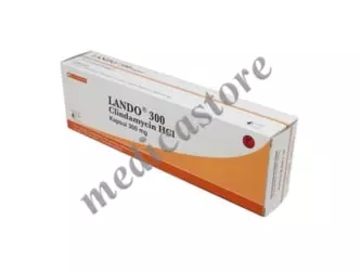 Lando 300 mg Kapsul