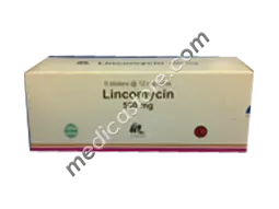Lincomycin 500 mg Kapsul