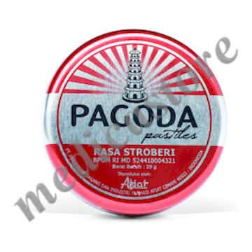 PAGODA PASTILLES STRAWBERRY 20 GR