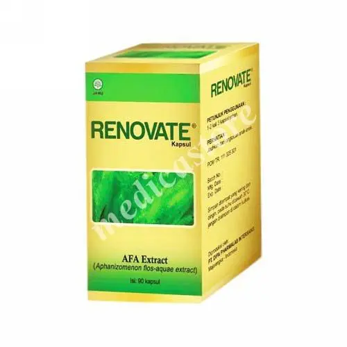 RENOVATE KAPSUL