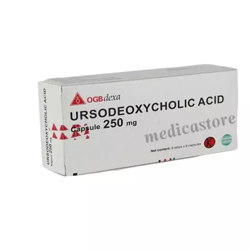 Ursodeoxycholic Acid 250 mg Kapsul